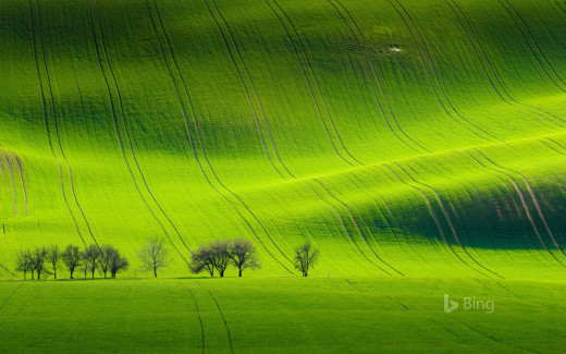 1163482 (a): :1920x1200